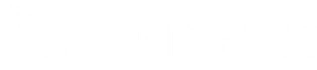 Digiteyes