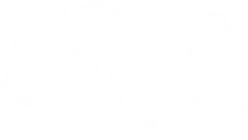 Not A Shark Company
